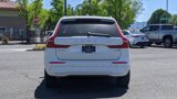 Used 2022 Volvo XC60 B5 Momentum w/ Climate Package image 4
