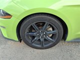 Used 2020 Ford Mustang Coupe w/ Equipment Group 101A image 2