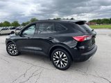 Used 2020 Ford Escape SE Sport image 3