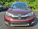 Used 2019 Honda CR-V EX image 2