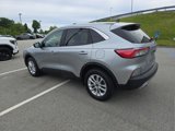Used 2022 Ford Escape SE w/ Cold Weather Package image 3