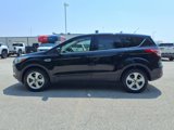Used 2016 Ford Escape SE w/ SE Cold Weather Package image 4
