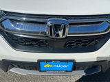 Certified 2019 Honda CR-V EX-L image 4