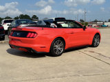 Used 2016 Ford Mustang Premium w/ Equipment Group 201A image 6