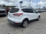 Used 2016 Ford Escape SE w/ Equipment Group 201A image 3
