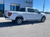 New 2025 Ford F150 XL image 3
