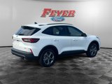 New 2025 Ford Escape ST-Line Elite image 5