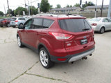 Used 2013 Ford Escape Titanium w/ Parking Technology Pkg image 3