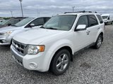 Used 2011 Ford Escape Limited w/ 302A Rapid Spec Order Code image 4