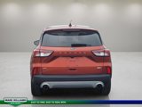 Used 2020 Ford Escape SE image 5