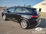 New 2025 Ford Escape Active w/ Tech Pack #1 image 3