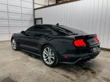 Used 2023 Ford Mustang GT Premium w/ Mustang Nite Pony Package image 4