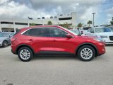 Used 2020 Ford Escape SE image 3