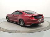 Used 2015 Ford Mustang Premium image 6