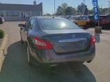 Used 2010 Nissan Maxima 3.5 SV w/ Cold Pkg image 4