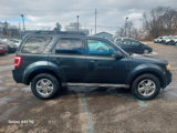 Used 2009 Ford Escape XLT image 4