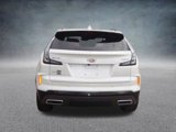 New 2025 Cadillac XT4 Sport image 5