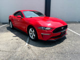 Used 2019 Ford Mustang Coupe image 2