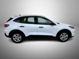 Used 2020 Ford Escape S image 4