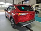 Used 2020 Ford Escape SEL image 3