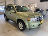 Used 2008 Ford Escape 2WD Hybrid image 6