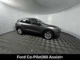 Used 2022 Ford Escape SE w/ Convenience Package image 2