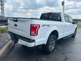 Used 2016 Ford F150 XLT w/ Equipment Group 302A Luxury image 3