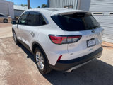 Used 2020 Ford Escape SE image 3