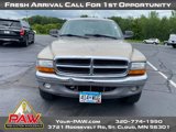 Used 2003 Dodge Dakota SLT image 3