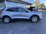 Used 2022 Ford Escape SE w/ Convenience Package image 4
