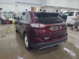 Used 2017 Ford Edge SEL w/ Equipment Group 201A image 5