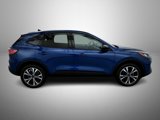 Used 2022 Ford Escape SE w/ SE Sport Appearance Package image 4