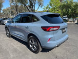 Used 2024 Ford Escape ST-Line Select image 4