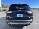 Used 2020 Ford Escape Titanium image 4