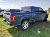 Used 2017 Ford F150 Platinum w/ Equipment Group 701A Luxury image 3