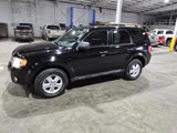 Used 2010 Ford Escape XLT image 3