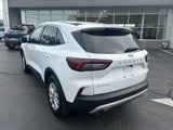 Used 2023 Ford Escape Active image 5