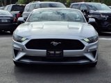 Used 2019 Ford Mustang Premium image 2