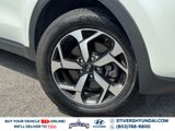 Used 2022 Kia Sportage LX image 4