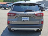 Used 2023 Ford Escape Active image 5