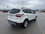 Used 2017 Ford Escape SE w/ Equipment Group 201A image 5