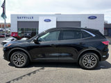 Used 2022 Ford Escape SE w/ Convenience Package image 2
