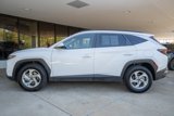Used 2024 Hyundai Tucson SEL image 4