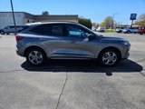 Used 2024 Ford Escape ST-Line image 2