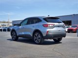 Used 2022 Ford Escape SE w/ SE Sport Appearance Package image 3