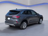 Used 2022 Ford Escape SE image 5