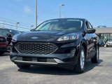 Certified 2022 Ford Escape SE w/ Cold Weather Package image 3