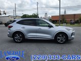 Used 2023 Ford Escape ST-Line image 3