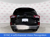 New 2025 Ford Escape ST-Line w/ Tech Pack #1 image 5