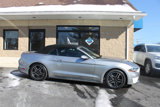Used 2021 Ford Mustang Premium image 2